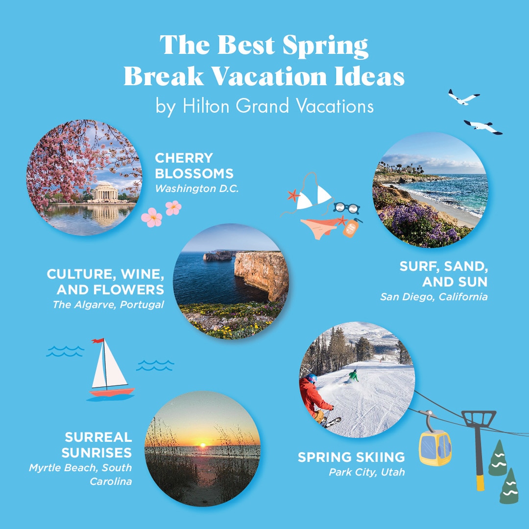 Infographic explaining spring break vacation ideas. 