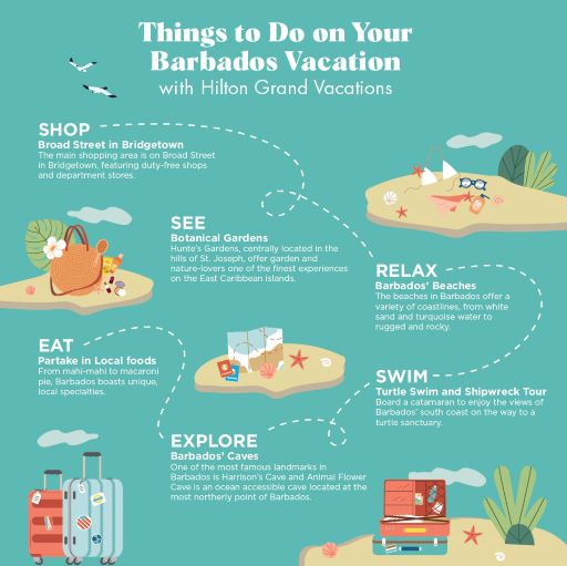 Infographic explaining things to do on your Barbados vacation. 