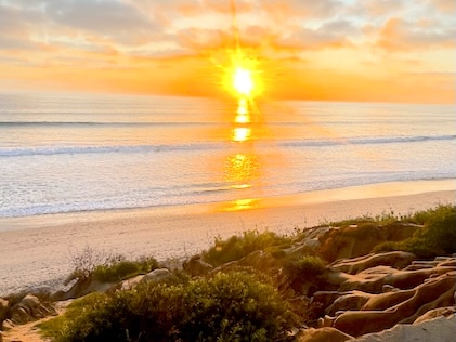 Sunset over open waters at a beach in LaJolla. Smooth rocks and greenery are in the foreground, with a sandy shore and ocean beyond.