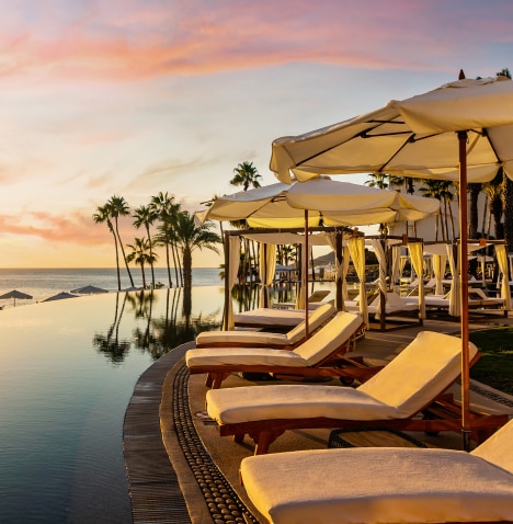 Recliners in the setting sun, with palm trees